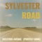 Vicletric Avenue - Sylvester Road lyrics