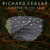 Laughter in the Rain artwork