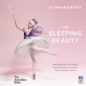 The Sleeping Beauty, Op. 66, TH.13, Act III: 23. Pas de deux (‘To Demonstrate Their Undying Love.’) artwork