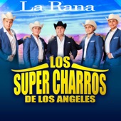 La Rana artwork