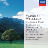 Vaughan Williams: Orchestral Works artwork