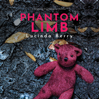 Lucinda Berry - Phantom Limb: A Gripping Psychological Thriller artwork