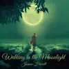 Walking in the Moonlight - Single album lyrics, reviews, download