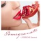 Pomegranate - L.porsche lyrics
