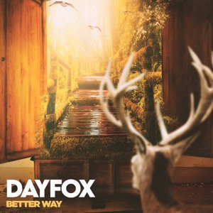 DayFox - Better Way - Line Dance Music