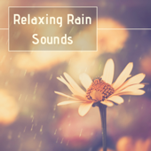 Relaxing Rain Sounds: Best Selection of Gentle Rain Sounds Help You to Relax, Meditate, Sleep - ヒーリングミュージック & Nature Ambience
