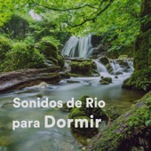 Sonido Relajante de Agua de Río para Dormir y Limpiar la Energía (Natural Sound of Water Relaxation) artwork
