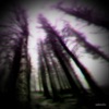 Segregation - Single