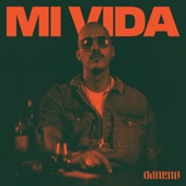 Mi Vida artwork