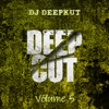 Deep Cut, Vol. 5