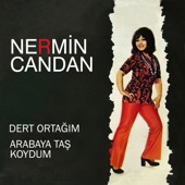 Arabaya Taş Koydum artwork