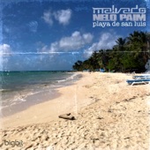 Playa de San Luis (Remix) artwork