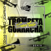 Trompeta y Guaracha / Suertuda (Remix) artwork