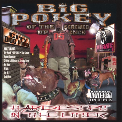 Strap On The Side Spice 1 Shazam