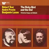 The Dicky Bird & the Owl: Victorian Songs and Ballads artwork