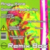 Remix Box