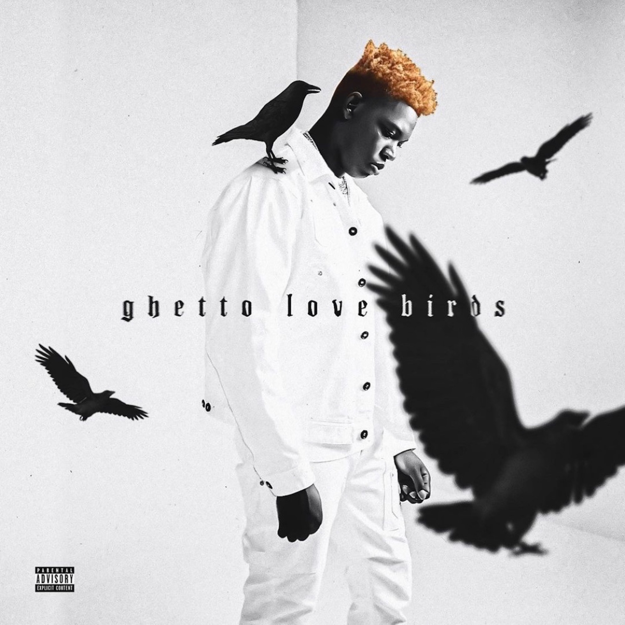 Yung Bleu - Ghetto Love Birds - Single