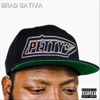 Brad Sativa - African American Studies