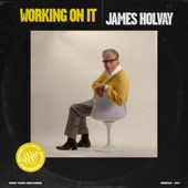 James Holvay - Working On It