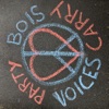 Voices Carry - Single