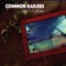 Witness Tree - Common Railers lyrics