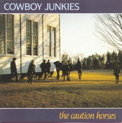 THE CAUTION HORSES cover art