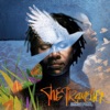 The Traveller (Special Edition), 2017