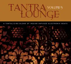 Tantra Lounge, Vol. 5 (A Tantalizing Blend of Indian-Infused Electronic Beats) by Various Artists album reviews, ratings, credits