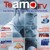 Te Amo Tv 4 - los Éxitos Originales de las Telenovelas artwork