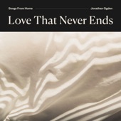 Love That Never Ends artwork