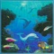 Kaimana - Teja Bell & Steve Kindler lyrics