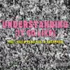 understanding (feat. Bailz Pagliacci & Datamosh) - Single album lyrics, reviews, download
