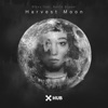 Harvest Moon (feat. Kevin Brauer) - Single