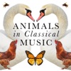 Animals In Classical Music