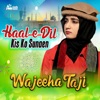 Haal-e-Dil Kis Ko Sunaen - Single