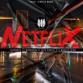 Netflix (feat. Mikoushu, Maniee Bird & Erik Daniels) [Remix] artwork