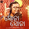 Srikant Kumar - Sona Sona