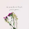 Stream & download Wonderful - Single