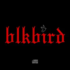 BlkBird Song Lyrics