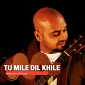 Tu Mile Dil Khile artwork