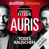 Sebastian Fitzek & Vincent Kliesch - Auris 3: Todesrauschen artwork