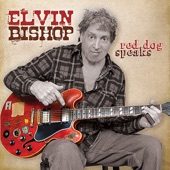 Elvin Bishop - Midnight Hour Blues