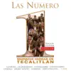 Las Número 1 del Mariachi Vargas de Tecalitlán album lyrics, reviews, download