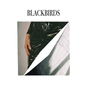 Blackbirds artwork