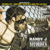 Notorious Jatt (feat. P. Gill) - Randy J