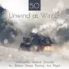 50 Unwind at Winter - Tranquility Nature Sounds for Better Sleep During the Night: Stay Asleep All Night Long, Plain Dreaming & Winter Relaxation album lyrics, reviews, download