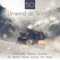 50 Unwind at Winter - Tranquility Nature Sounds for Better Sleep During the Night: Stay Asleep All Night Long, Plain Dreaming & Winter Relaxation by Restful Sleep Music Collection album reviews, ratings, credits