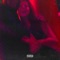 beautiful disaster (feat. Jack Asher) - WILSXN lyrics