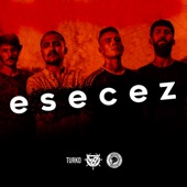 Esecez artwork