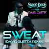 Sweat (Snoop Dogg vs. David Guetta) [Remix] song lyrics